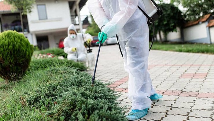  New Album of Eco Pest Control Brisbane 16/300 Ann Street - Photo 8 of 16