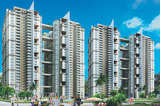 Sanjana Bajaj, Noida