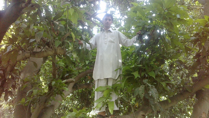  Profile Photos of Adnan DaNi Mangla Borang, Tehsil: Paharpur - Photo 4 of 16