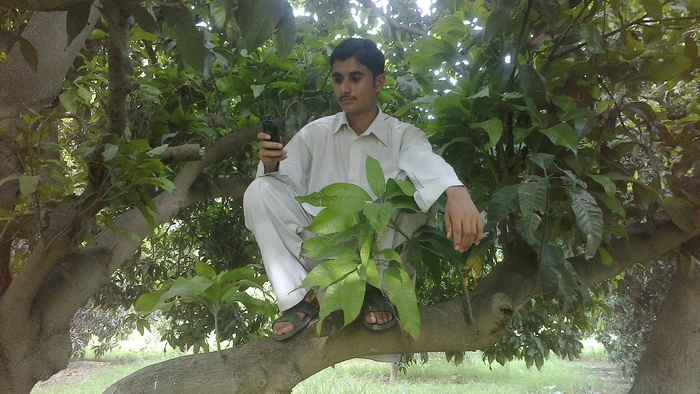  Profile Photos of Adnan DaNi Mangla Borang, Tehsil: Paharpur - Photo 5 of 16