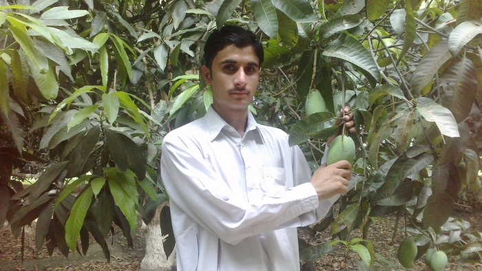  Profile Photos of Adnan DaNi Mangla Borang, Tehsil: Paharpur - Photo 7 of 16