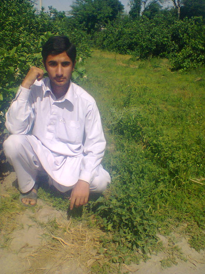  Adnan DaNi of Adnan DaNi Mangla Borang, Tehsil: Paharpur - Photo 10 of 10
