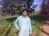  Adnan DaNi Mangla Borang, Tehsil: Paharpur 