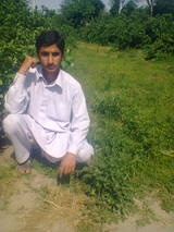 Adnan DaNi, District: Dera Ismail Khan
