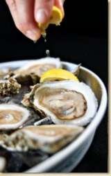  Anna Maria Oyster Bar Cortez - FL 6696 Cortez Road West 