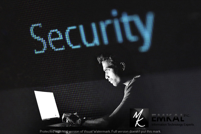  IT professional services in Kitchener, ON of EMKAL Inc. 51 Breithaupt Street, Suite 100 - Photo 6 of 18