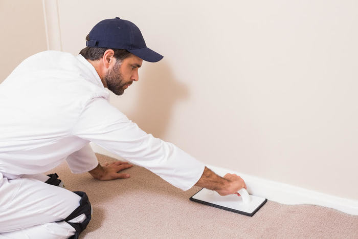  Carpet Installation Melbourne of Carpet Installation Melbourne 12 McKillop St - Photo 3 of 3
