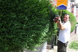 Gardening Services Swanscombe, Swanscombe