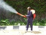 Pest Control Hemel Hempstead, 56 The Queens Square, Hemel Hempstead, HP2 4ES, 02036160413, http://www.pestcontrolhemelhempstead.com, Pest Control Hemel Hempstead, Hemel Hempstead