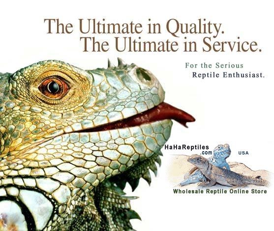  New Album of Reptile City 762 County Road 2800 - Photo 6 of 12