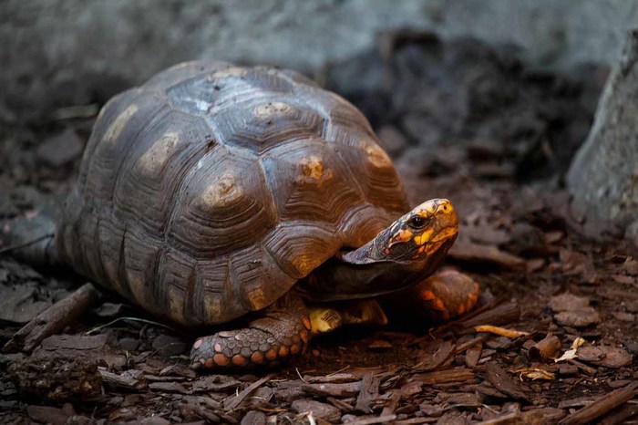  New Album of Reptile City 762 County Road 2800 - Photo 11 of 12