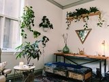 Wild Woman Therapy, San Francisco