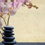 A Therapeutic Massage by Trudie Harris, Columbia