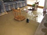  Water Damage Restoration Alexandria 2603 N Van Dorn St #204 
