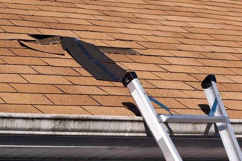  New Album of Carolina Cardinal Roofing and Construction .204 S River Dr - Photo 4 of 5