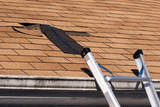 Carolina Cardinal Roofing and Construction, Jacksonville