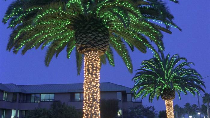  Portfolio of Christmas Light Hanging 12914 Dorathea Terrace - Photo 7 of 10