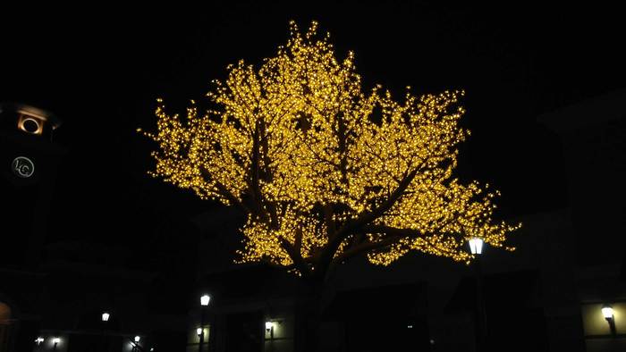  Portfolio of Christmas Light Hanging 12914 Dorathea Terrace - Photo 8 of 10