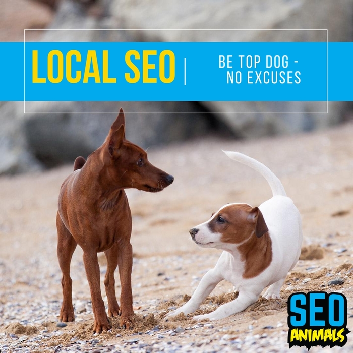  Profile Photos of SEO Animals 7 Dukes Court - Photo 1 of 6