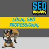 SEO Animals, Chichester