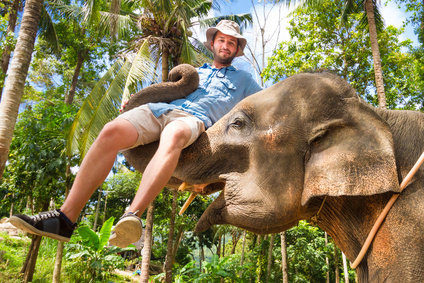 Domesticated elephant lifting a tourist with his trunk. Profile Photos of Top Indian Trips C199, Jhotwara Rd - Photo 3 of 8