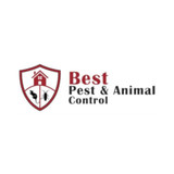 Best Pest & Animal Control, Bay City