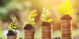Northstar Investment Advisors, Denver