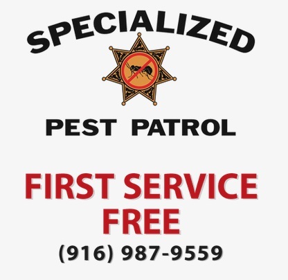  Profile Photos of Specialized Pest Sacramento & Folsom 9477 Greenback Ln Suite 518 - Photo 1 of 1