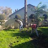 Pave Your Landscape, Irvine