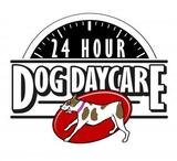 24 Hour Dog Daycare, San Diego