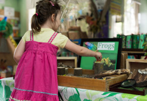  Profile Photos of Choklits Child Care 319 Canterbury Road - Photo 4 of 6