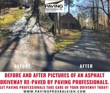  Paving Professionals INC. 1508 Mechanical Blvd 