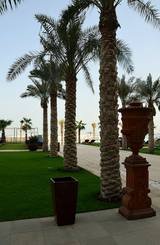 Leisure Activities DoubleTree by Hilton Hotel Dubai - Jumeirah Beach The Walk, Dubai Marina 