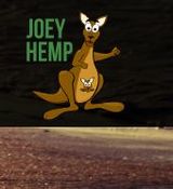 Joey Hemp LLC, Decatur