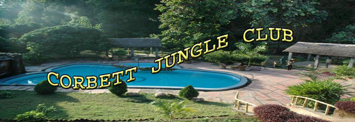  Profile Photos of Jim Corbett Packages from Delhi Vardhman Diamond Complex - Photo 4 of 9