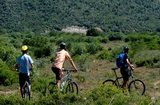 Jim Corbett Packages from Delhi Vardhman Diamond Complex 