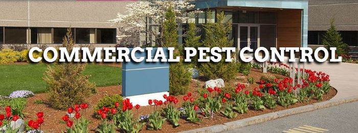  Pest Control Services Montgomery County of TKO Pest Control, Inc. 909 Chestnut Street - Photo 3 of 9