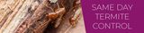 Termite Control Melbourne, Melbourne