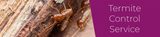 Termite Control Melbourne, Melbourne