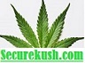 Secure Kush Dispensary, Bertsville