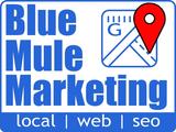 Blue Mule Marketing, Plano