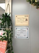 Cosmetic Solutions, Bellflower