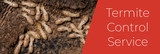 Termite Control Melbourne, Melbourne