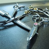 Salon Corta Couture, Lasalle