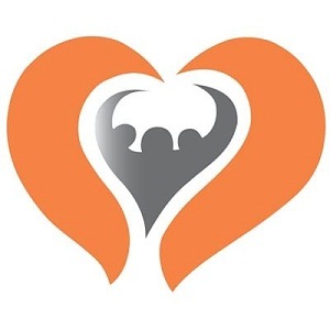  Profile Photos of Love My Online Marketing Crown Street - Photo 1 of 3