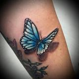 Rubis Tattoo, Laval