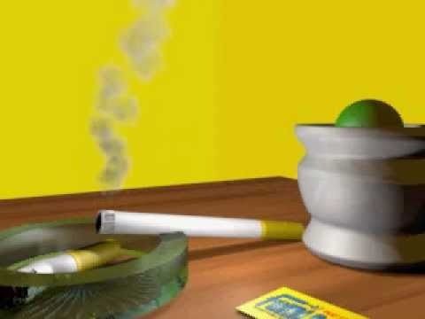  Profile Photos of Little Amsterdam Smoke Shop 16846 W Bell Rd # 104 - Photo 1 of 1