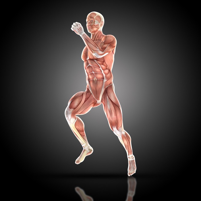  Exercise Physiology Melbourne of Exercise Physiology Melbourne 950 Mt Alexander Rd - Photo 3 of 4