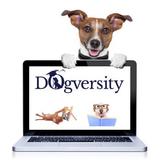 Best Behaviour Dog Training, Ipswich