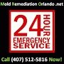  Profile Photos of Mold Remediation Orlando 37 N. Orange Ave., suite 1201 - Photo 1 of 3